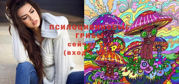 ешки Алзамай