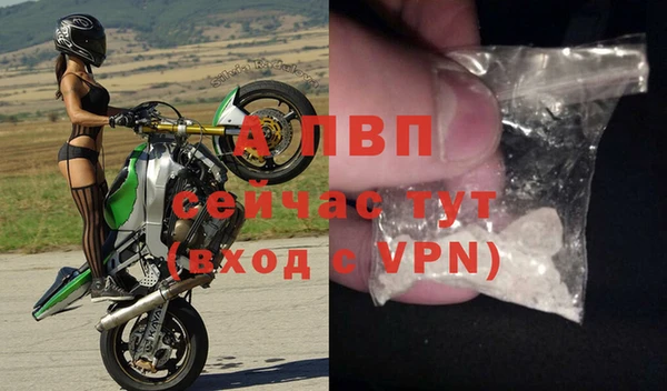 трава Абаза